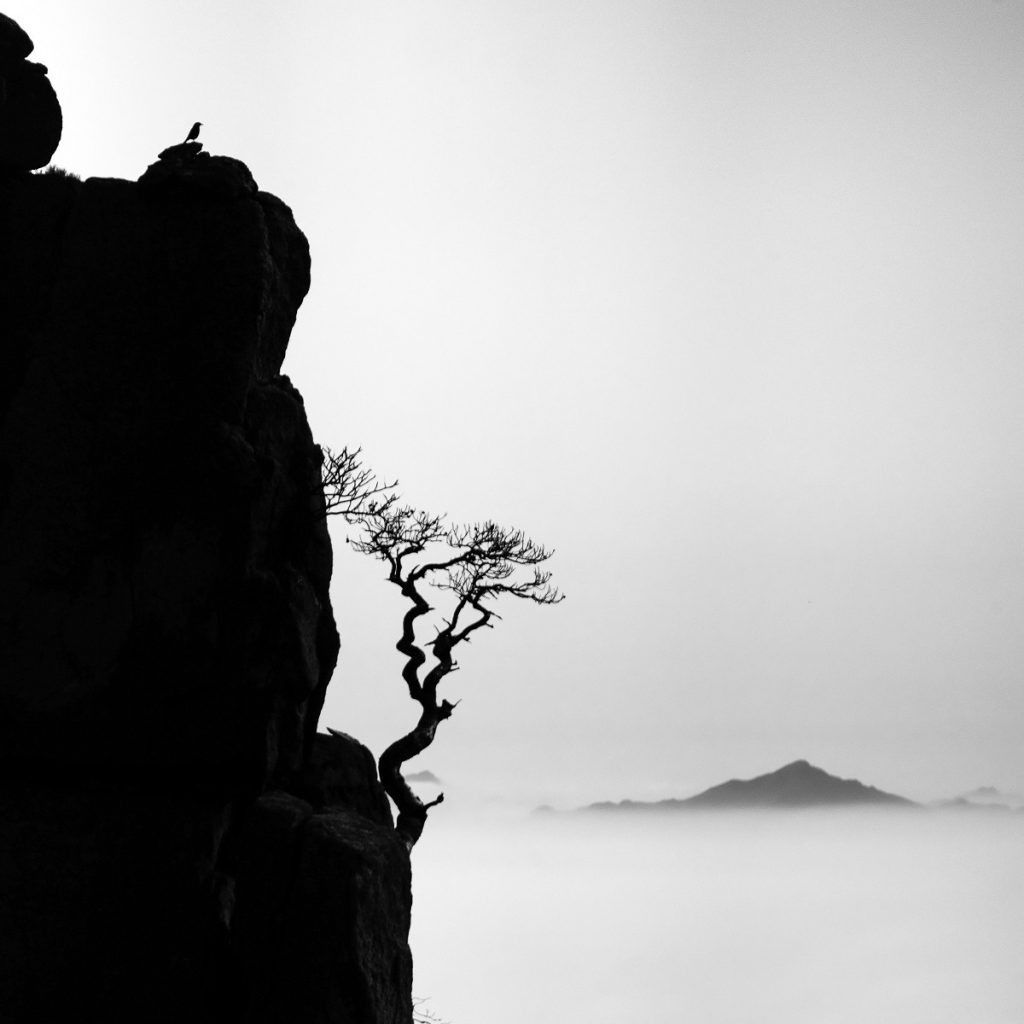 Expo "Huangshan. Inspirational Moments" © Ludmila Espiaube Expo "Huangshan. Inspirational Moments" © Ludmila Espiaube
