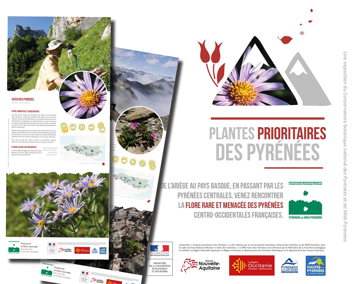 Plantes prioritaires des Pyrénées © Conservatoire botanique national des Pyrénées
