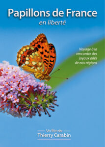Papillons de France en liberté
