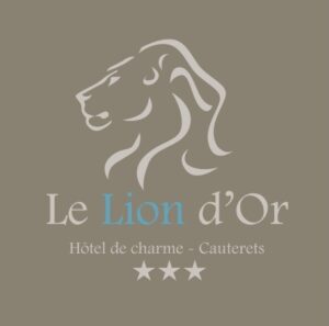 Hôtel Le Lion d'Or***