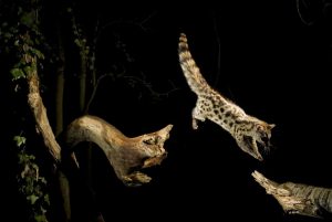 La nature de la Hoya de Huesca en 27 instants de Jorge Ruiz del Olmo 