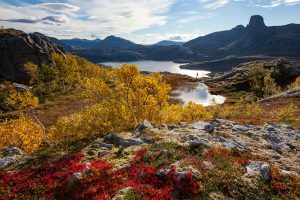 Norvège côté nature de Patrick Delieutraz et Sylvain Dussans