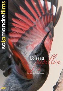 L'Oiseau papillon de Frank Neveu