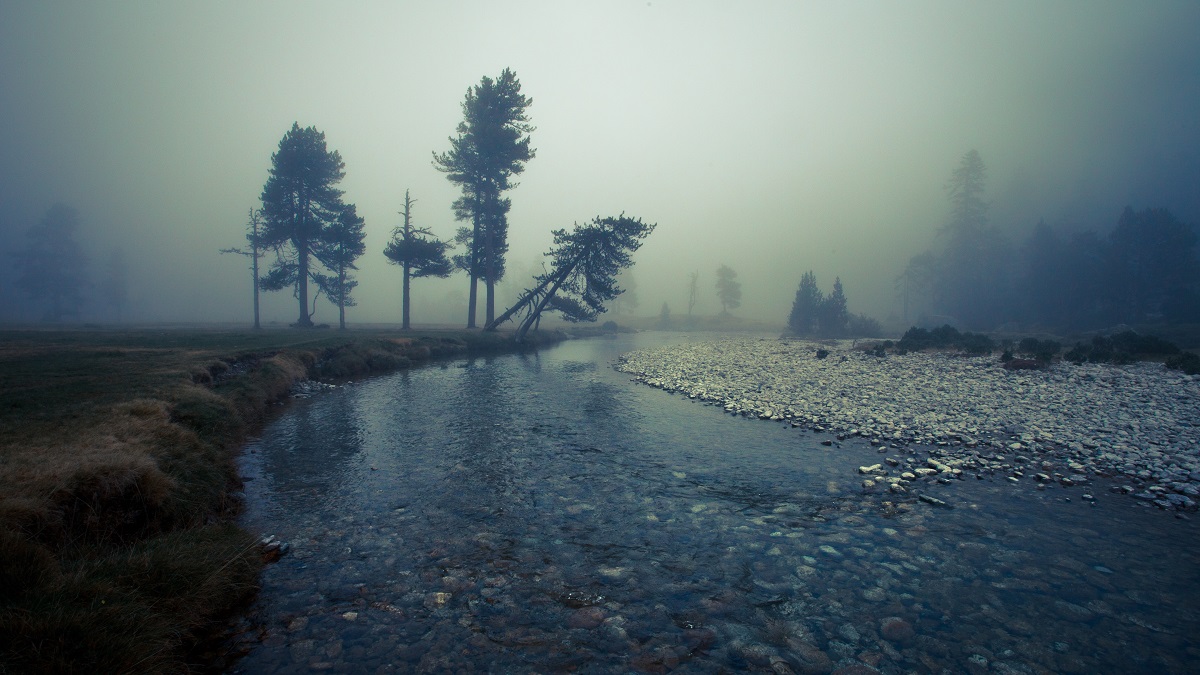 Plateau du Cayan dans la brume © Pierre Meyer