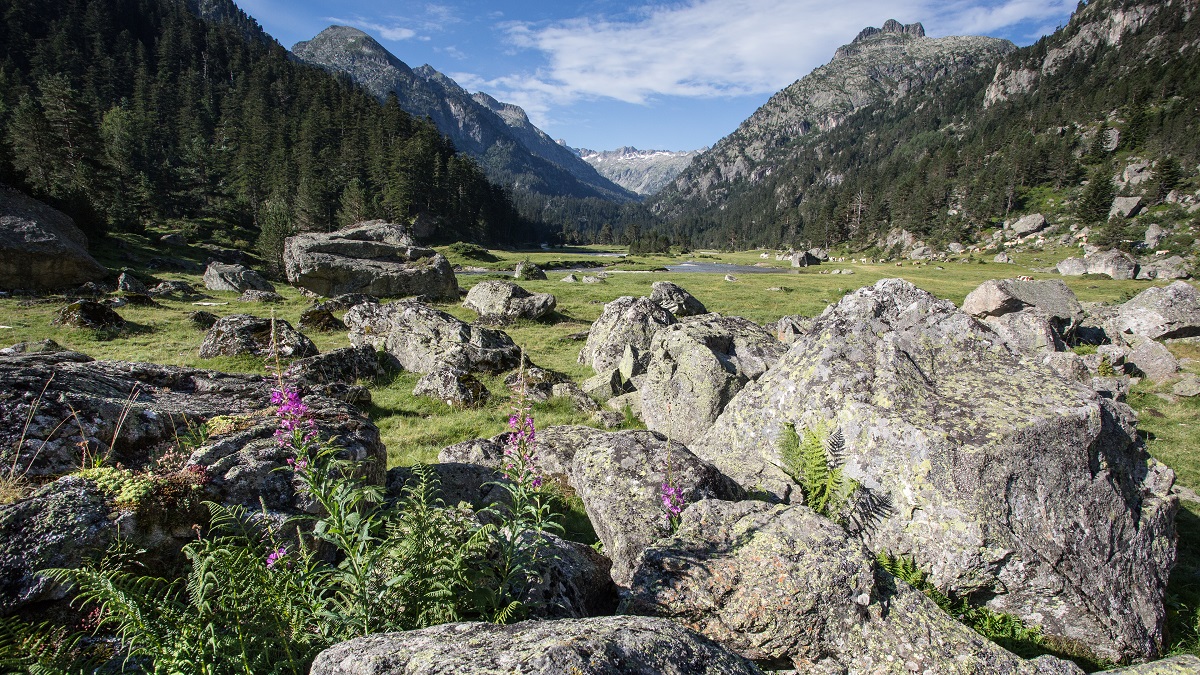 Plateau du Cayan © Pierre Meyer