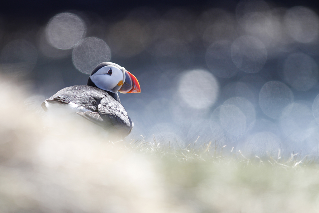 Voyage en famille en Islande © Phil Garcia