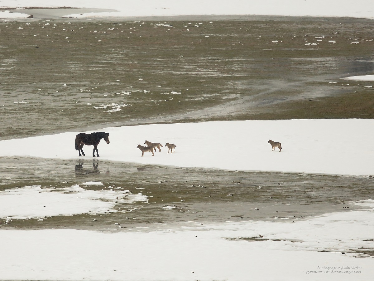 Dans l’Intimité des Abruzzes © Alain Victor