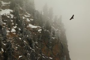 Les Ailes du Vent © Grégory Bonnet