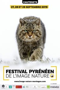 Affiche FPIN2019 © Joël Brunet