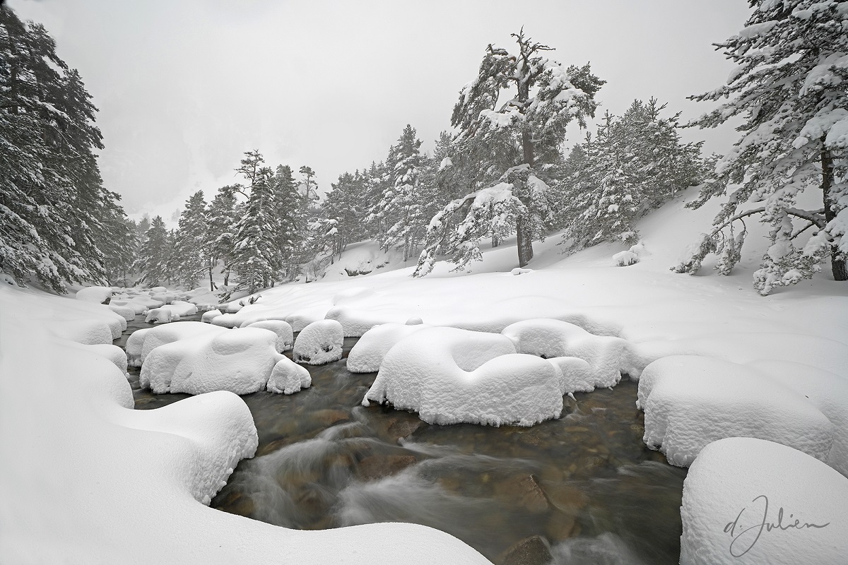 Blanc comme neige © Dominique Julien