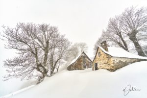 Blanc comme neige - Dominique Julien