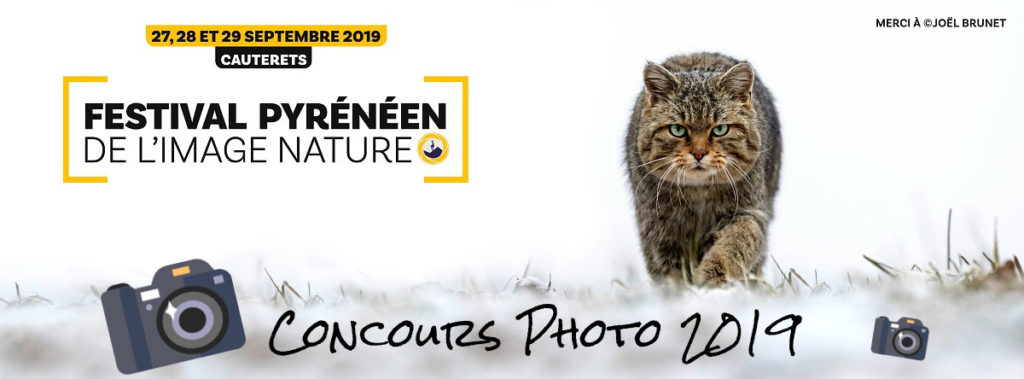 Concours Photo 2019