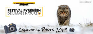 Concours Photo FPIN 2019