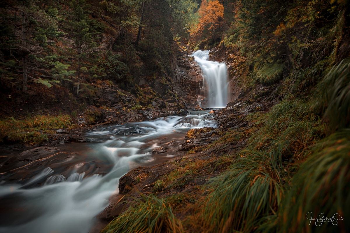 Torrents, cascades et lumières forestières - Naturavista © Jean-Gabriel Soula