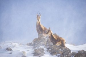 Filles de glace © Iñaki Larrea