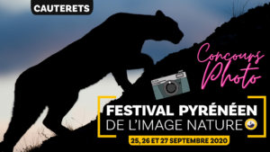 Concours Photo FPIN 2020