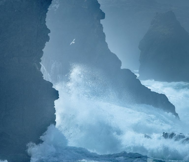 Océan © Guillaume Bily"