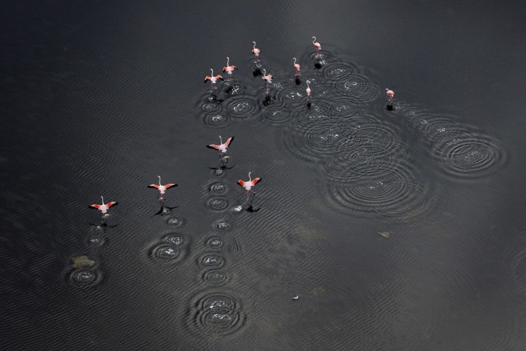 Camargue entre ciel et terre - Ricochets © Thierry Vezon"