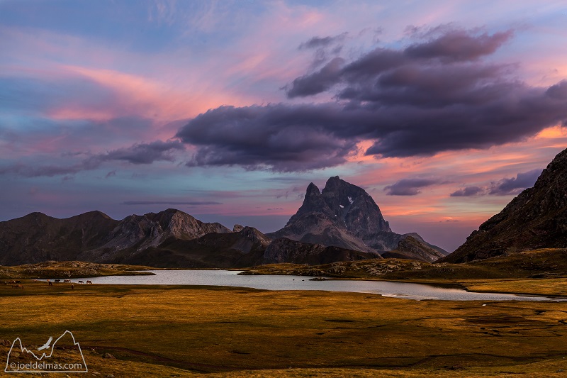 Stage photo « Vallon secret et lac d'Anayet » © Joël Delmas