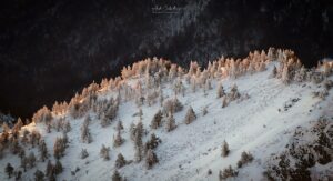 L'art des cimes pyrénéennes © Aude Caballero