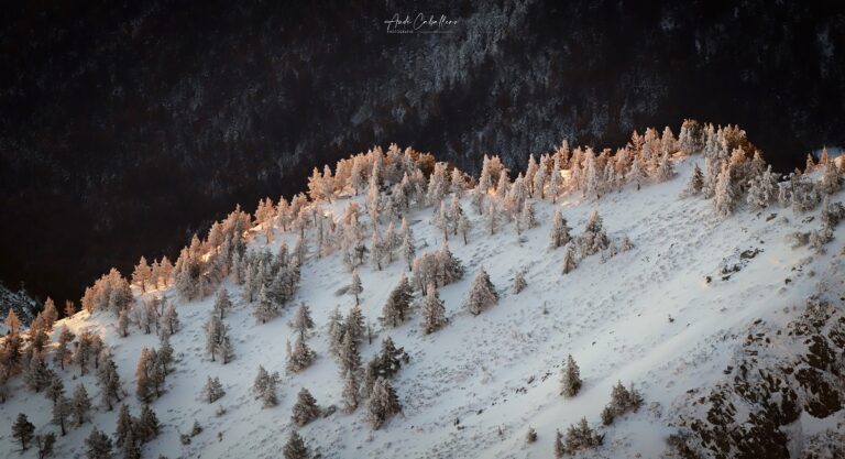 L'art des cimes pyrénéennes © Aude Caballero"