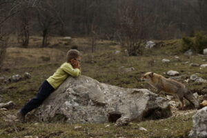 Eliott et les loups © Fabien Bruggmann