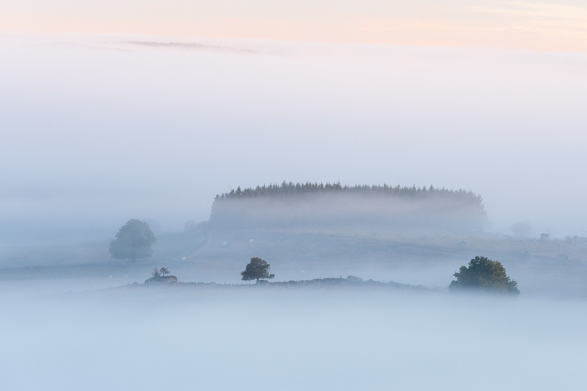 De brume et d'Aubrac - Matin d'Aubrac © Monique Boutolleau