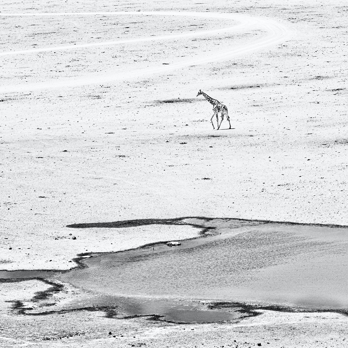 « Je suis amoureuse d’une terre sauvage… qui est en train de disparaître » © Florence Devaux-Dabenoc