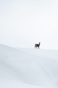 Regards croisés © Julien Canet