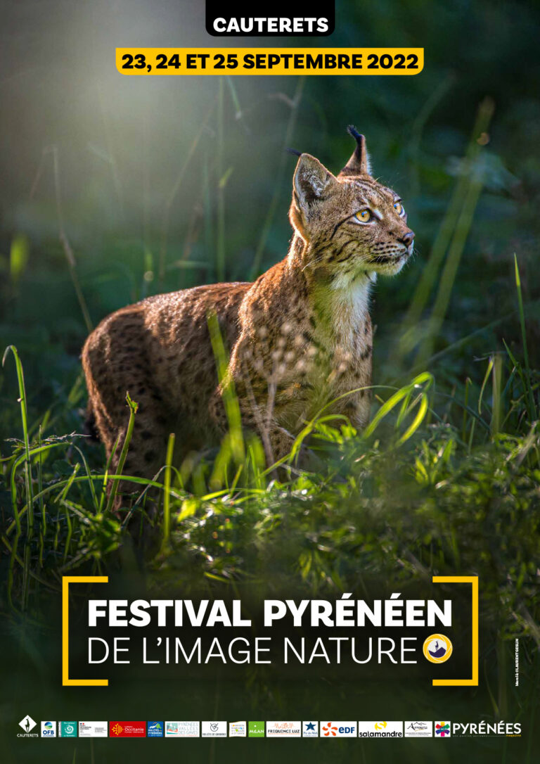 Affiche/Programme FPIN 2022 © Laurent Geslin