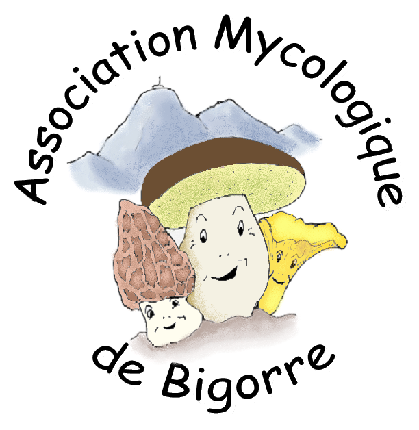 Logo Association mycologique de Bigorre