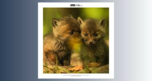 Bourse IRIS -Terre Sauvage