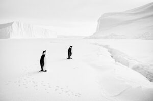 Terra Incognita © Guillaume Pépy